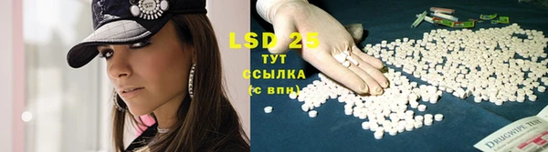 сатива Кинешма