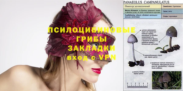 сатива Кинешма