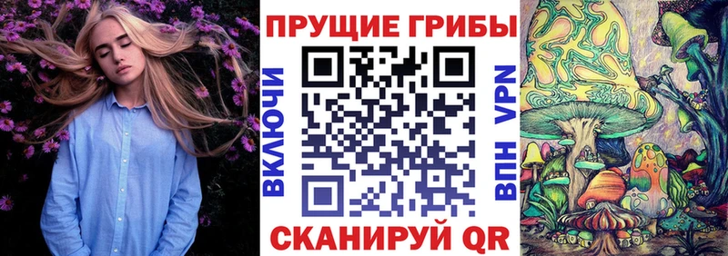 Галлюциногенные грибы Cubensis  Купить  Лабинск 